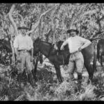 O Enigmático Coronel Percy Fawcett