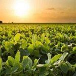 tempos modernos – onde tudo começou