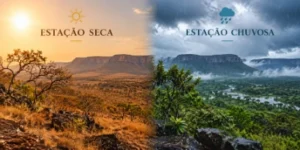 Estacoes do Cerrado Seca e Chuvosa convertida 400