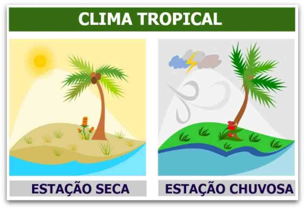 Clima