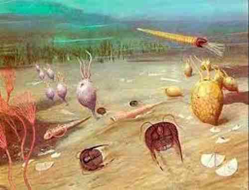 Período Ordoviciano