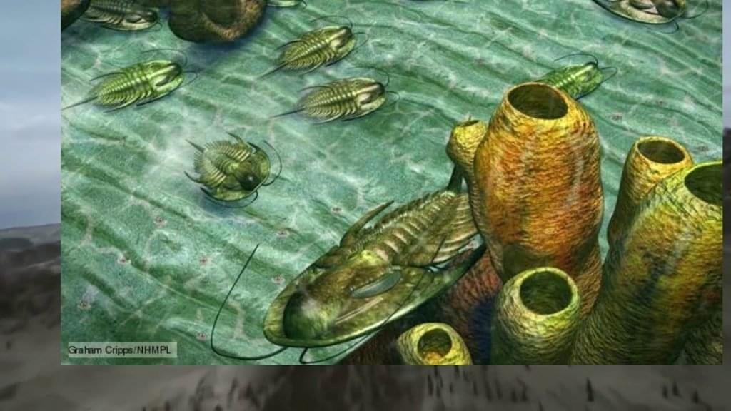 Período Ordoviciano