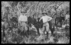 O Enigmático Coronel Percy Fawcett